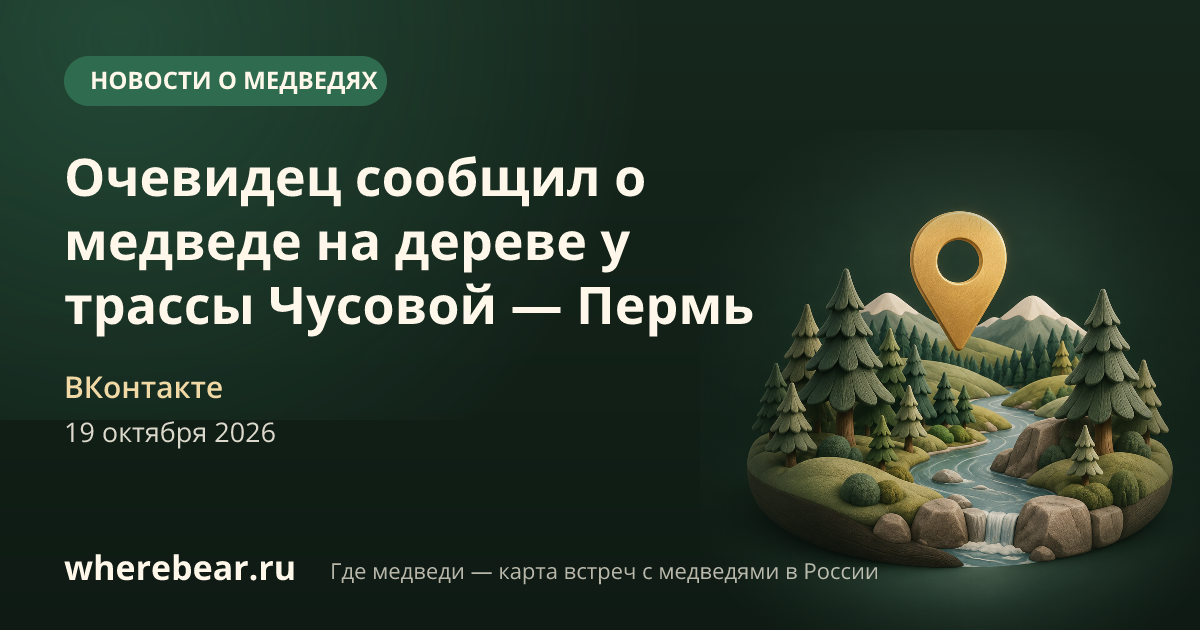 Место на карте: трасса Чусовой — Пермь, Пермский край