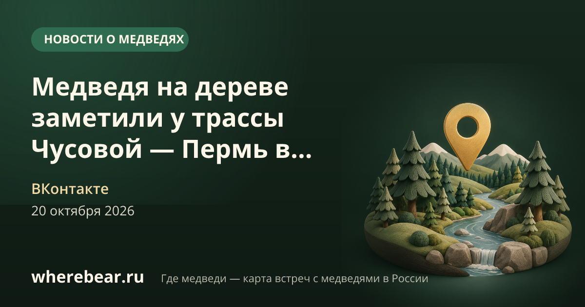 Место на карте: трасса Чусовой - Пермь, Пермский край
