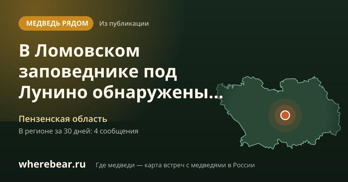 Место на карте: Пензенская область