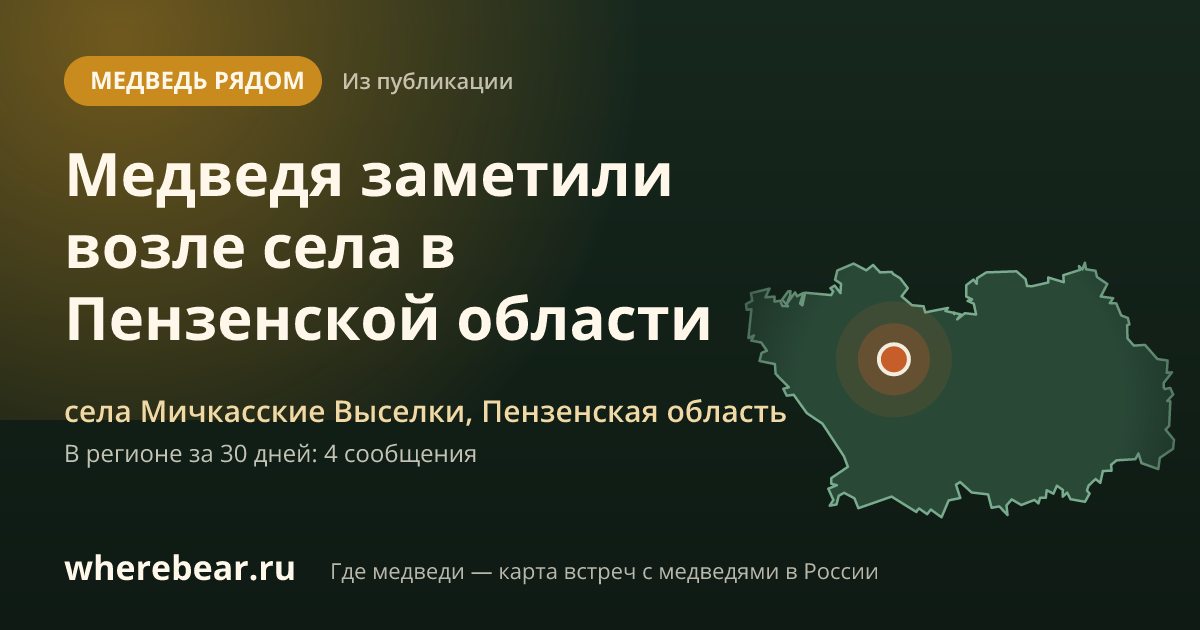 Место на карте: села Мичкасские Выселки, Пензенская область