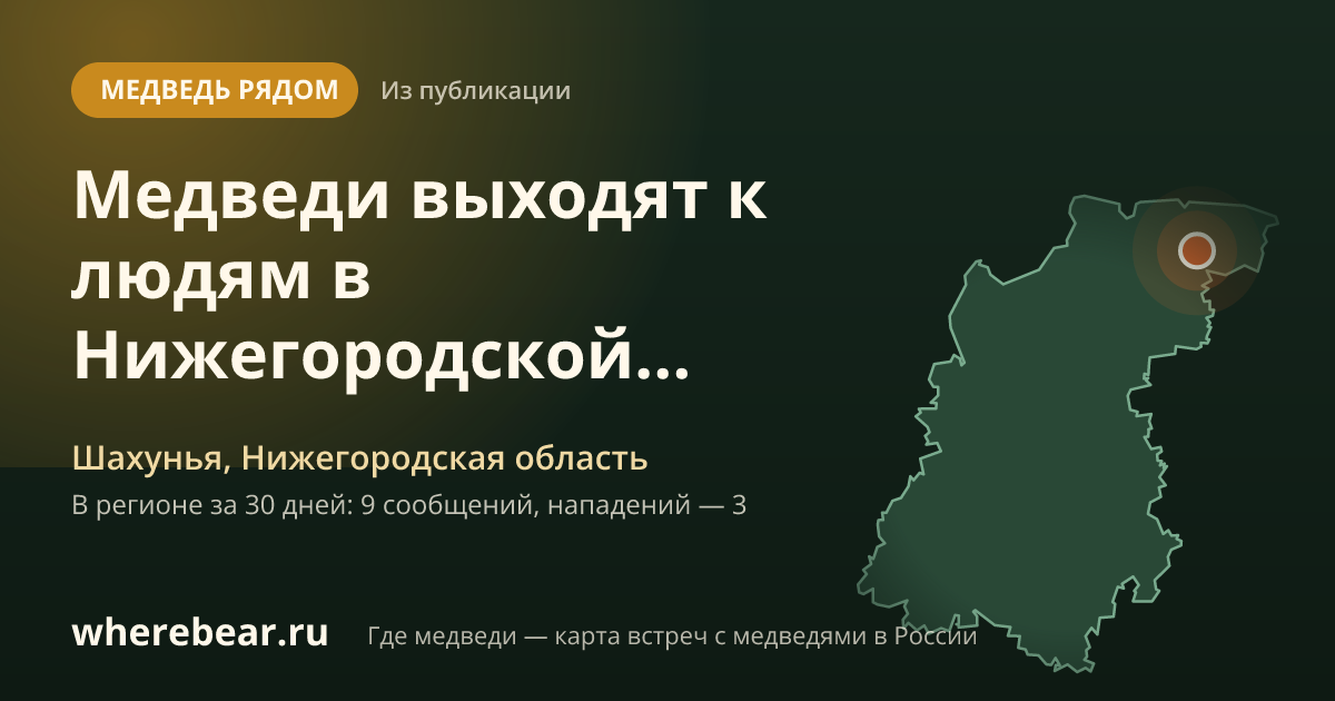 Место на карте: Шахунья, Нижегородская область