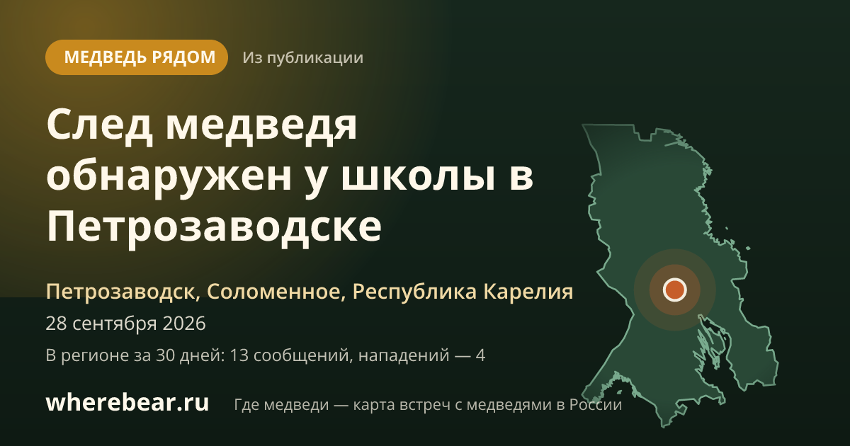 Место на карте: Петрозаводск, Соломенное, Республика Карелия