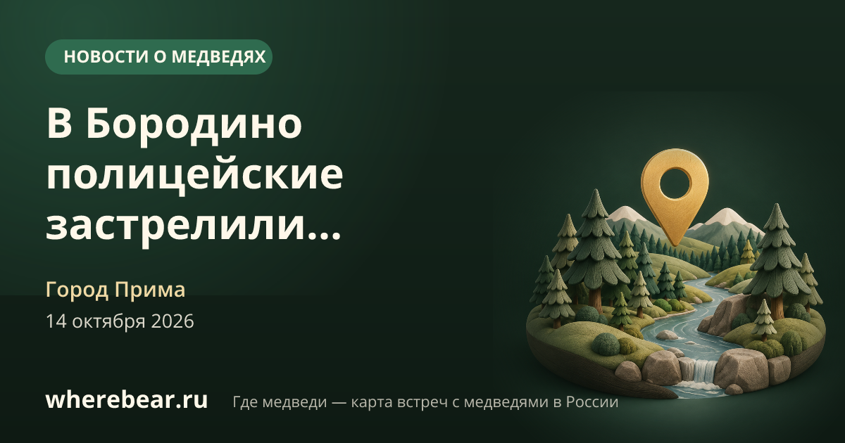 Место на карте: Бородино, улица Береговая, Красноярский край