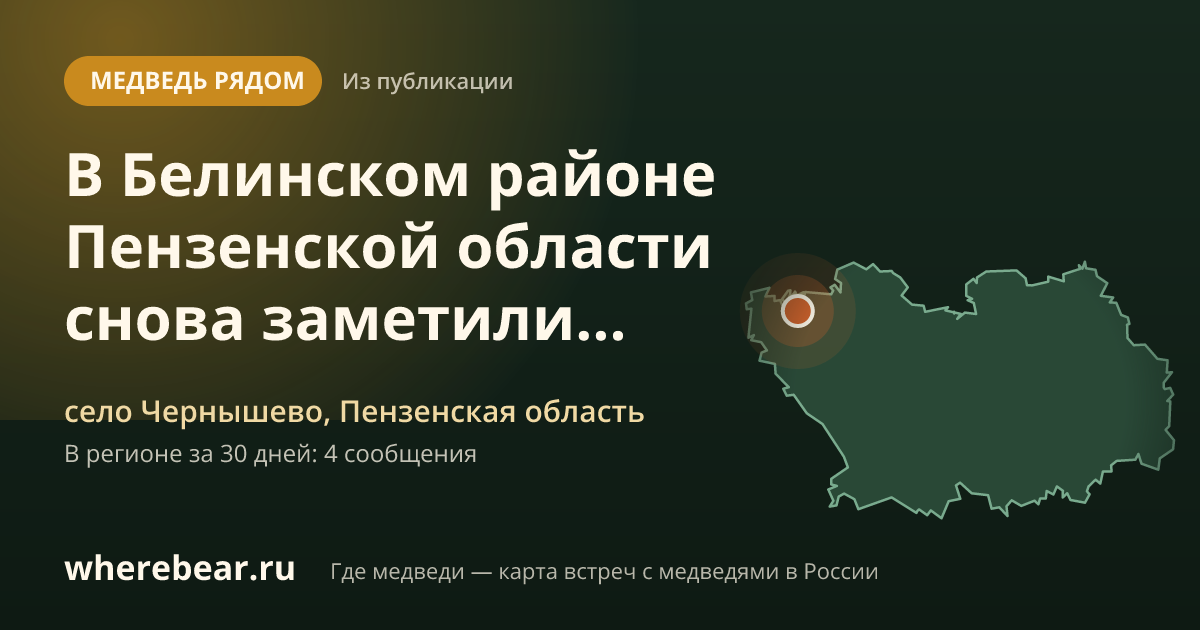 Место на карте: селе Чернышево, Пензенская область