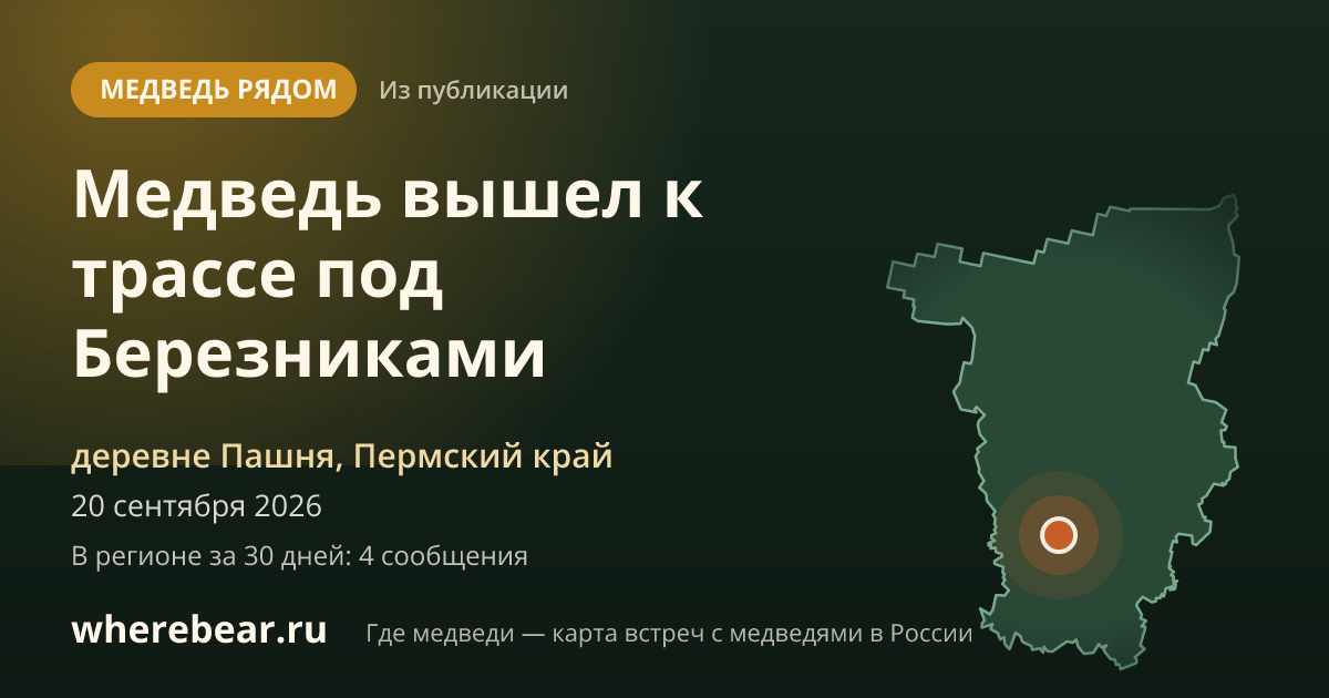 Место на карте: деревне Пашня, Пермский край