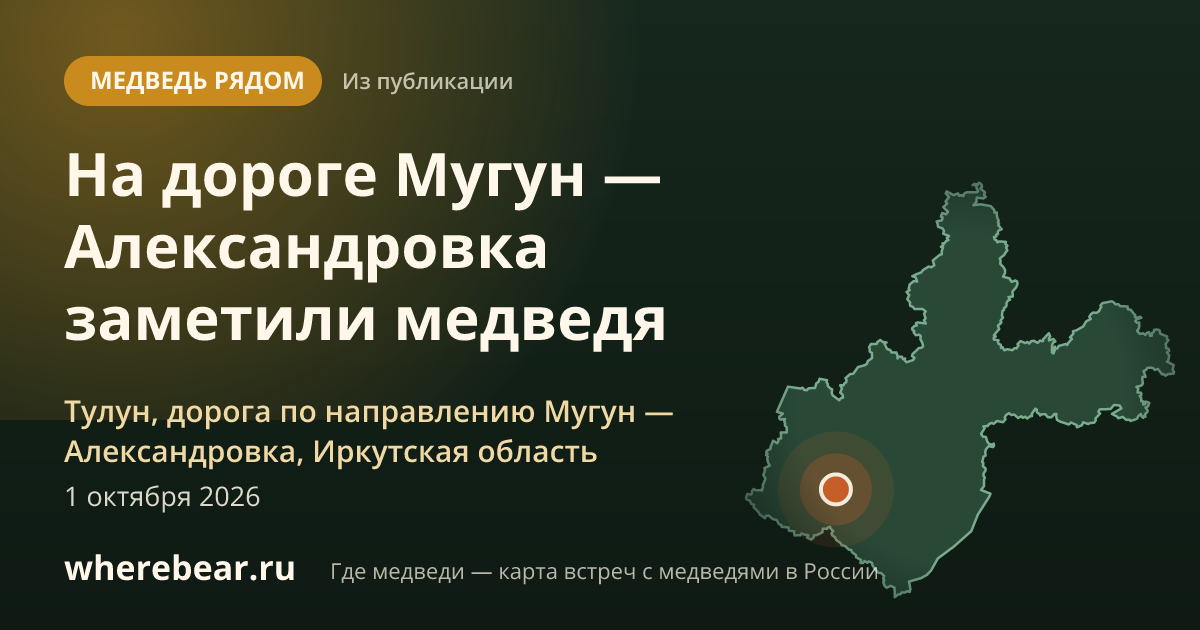 Место на карте: Тулун, дорога по направлению Мугун — Александровка, Иркутская область