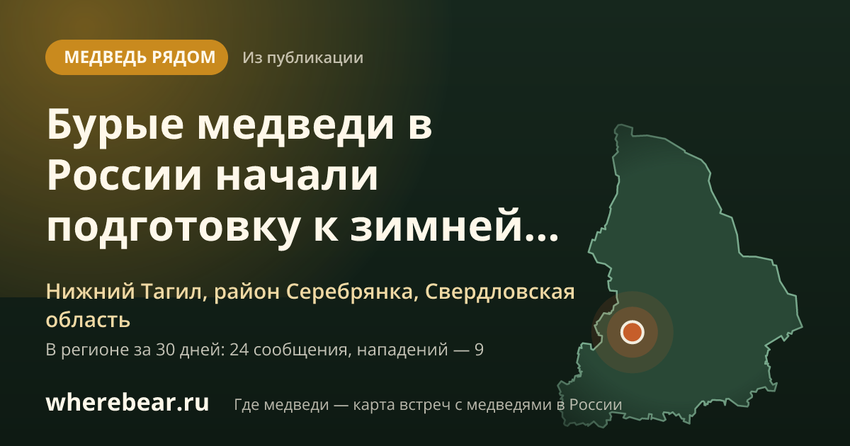 Место на карте: Нижний Тагил, район Серебрянка, Свердловская область