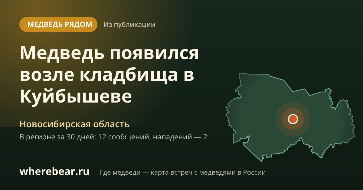 Место на карте: Новосибирская область