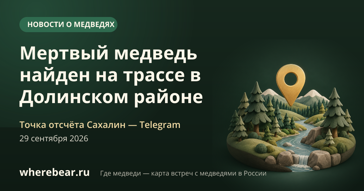 Место на карте: Долинском районе, Сахалинская область
