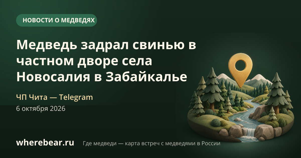 Место на карте: Улётовский округ, село Новосалия, Забайкальский край
