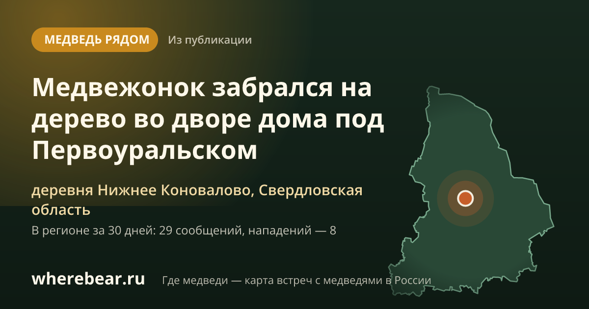 Место на карте: деревне Нижнее Коновалово, Свердловская область
