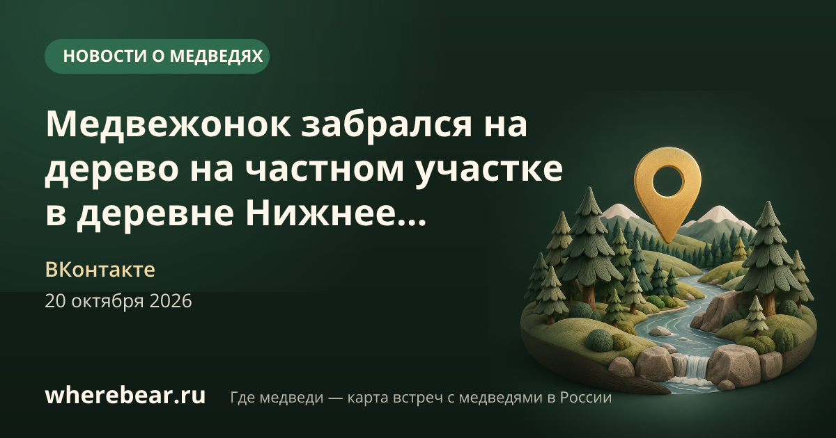 Место на карте: деревня Нижнее Коновалово, Свердловская область