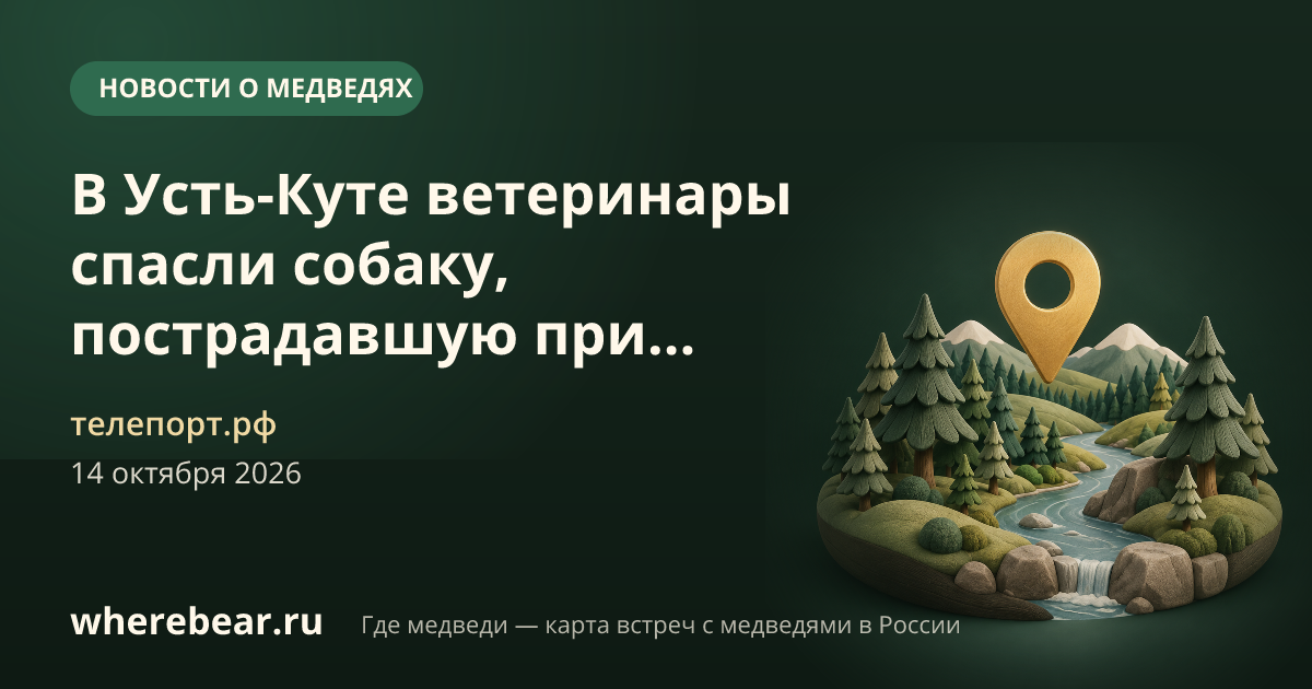 Место на карте: Усть-Кут, Иркутская область