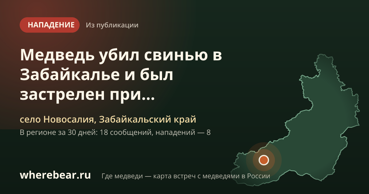 Место на карте: селе Новосалия, Забайкальский край