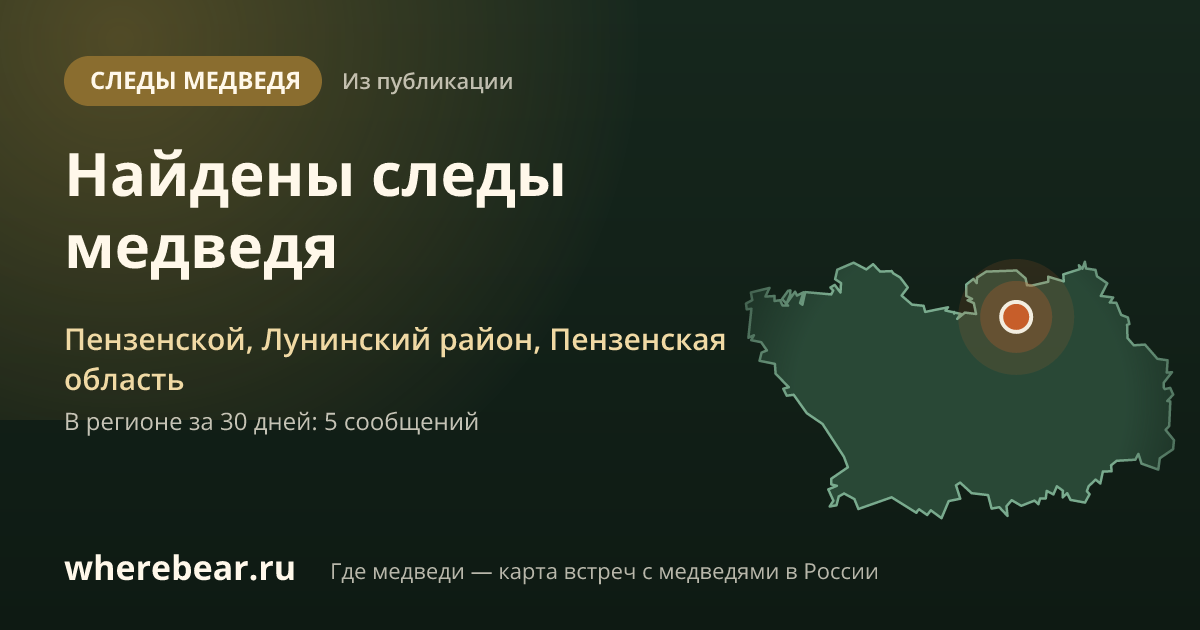 Место на карте: Пензенской, Лунинский район, Пензенская область