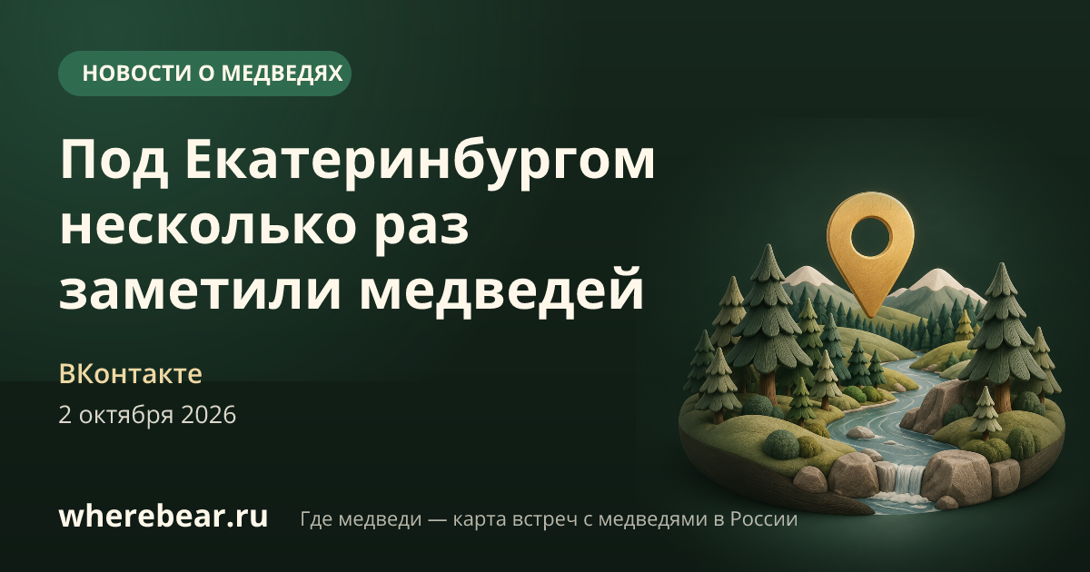Место на карте: по дороге на Малую Кедровку, Свердловская область