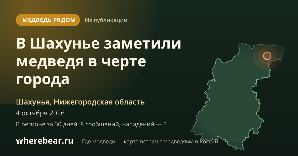 Место на карте: Шахунья, Нижегородская область