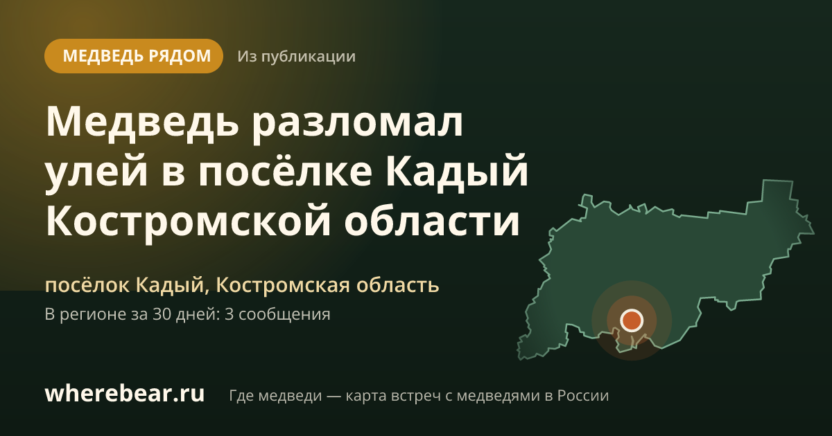 Место на карте: посёлке Кадый, Костромская область