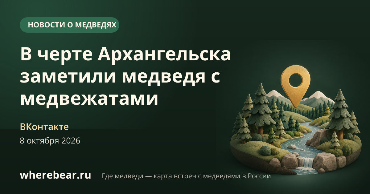 Место на карте: Маймаксы, на территории лесозавода № 14 и № 21, Архангельская область