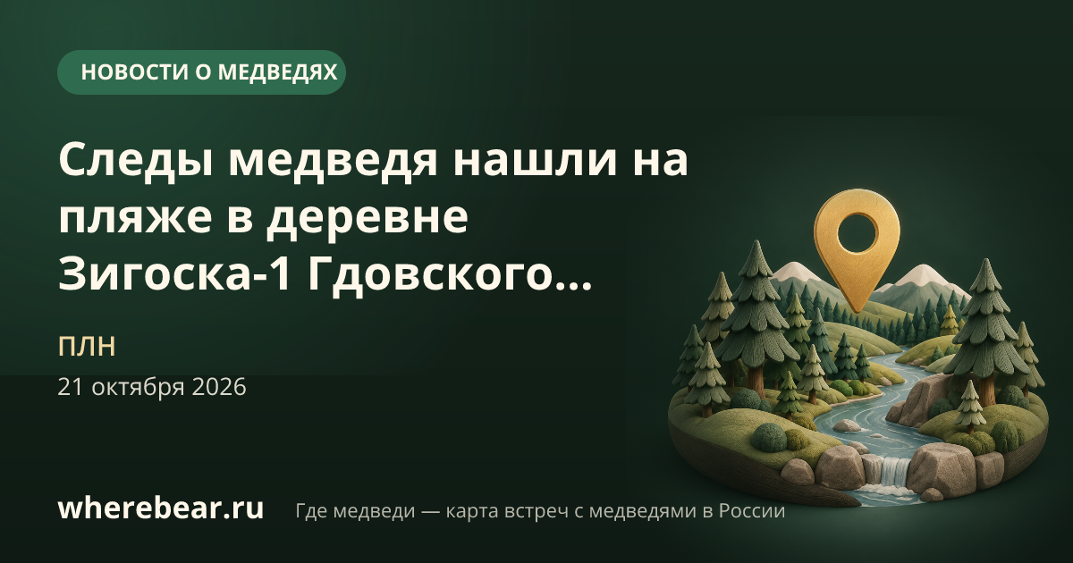 Место на карте: деревня Зигоска-1, Гдовский муниципальный округ, Псковская область