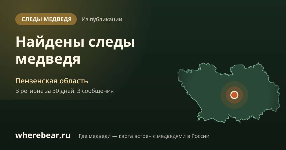 Место на карте: Пензенская область