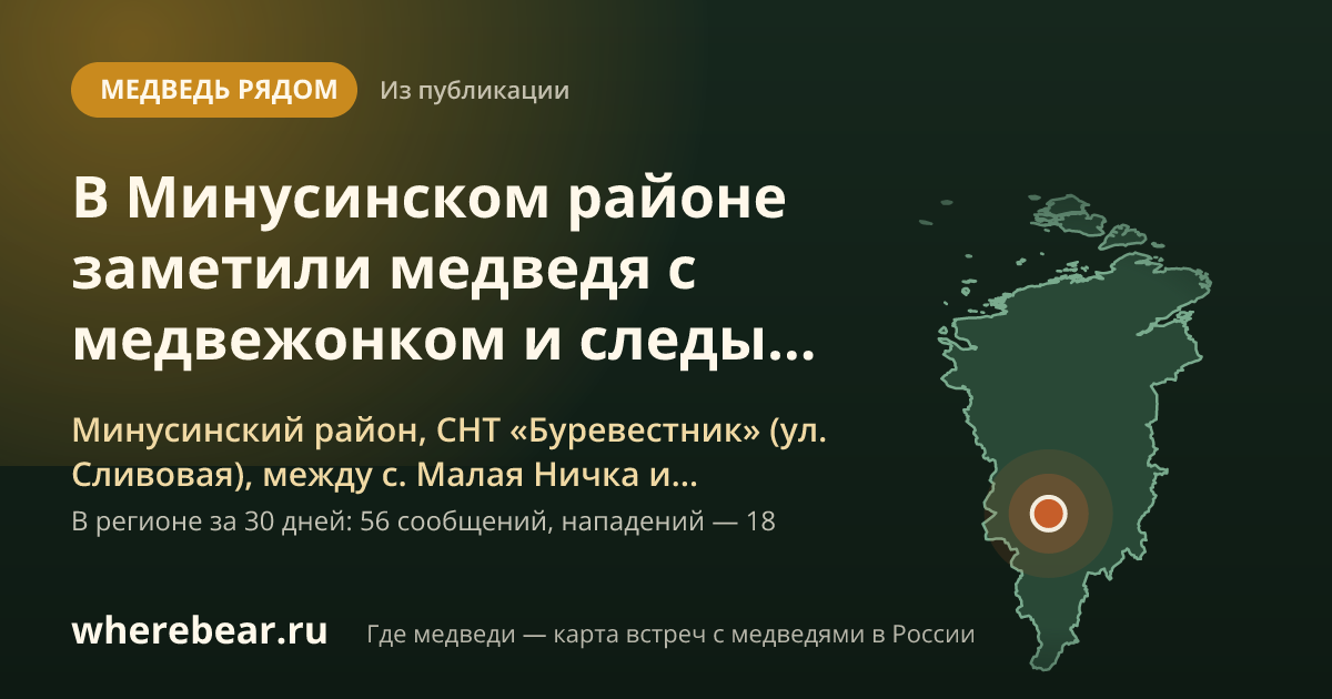 Место на карте: Минусинский район, СНТ «Буревестник» (ул. Сливовая), между с. Малая Ничка и Жерлыком, в логу Казачий, Красноярский край