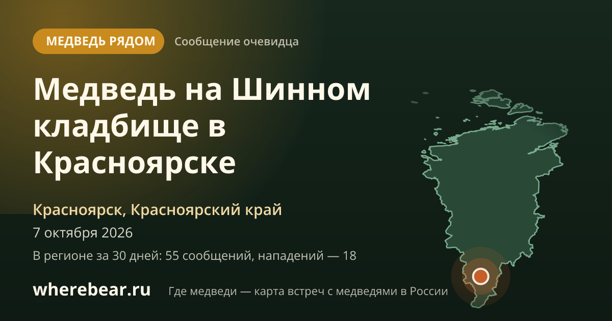 Место на карте: Шинное кладбище, Ленинский район, Красноярск, Красноярский край