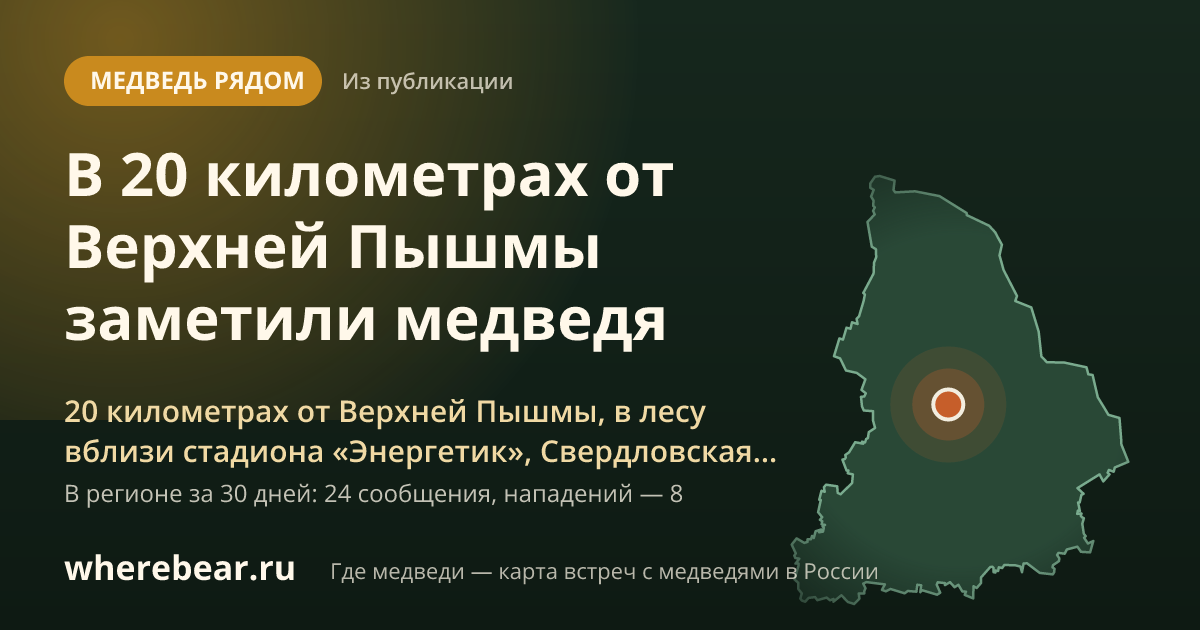Место на карте: в 20 километрах от Верхней Пышмы, в лесу вблизи стадиона «Энергетик», Свердловская область