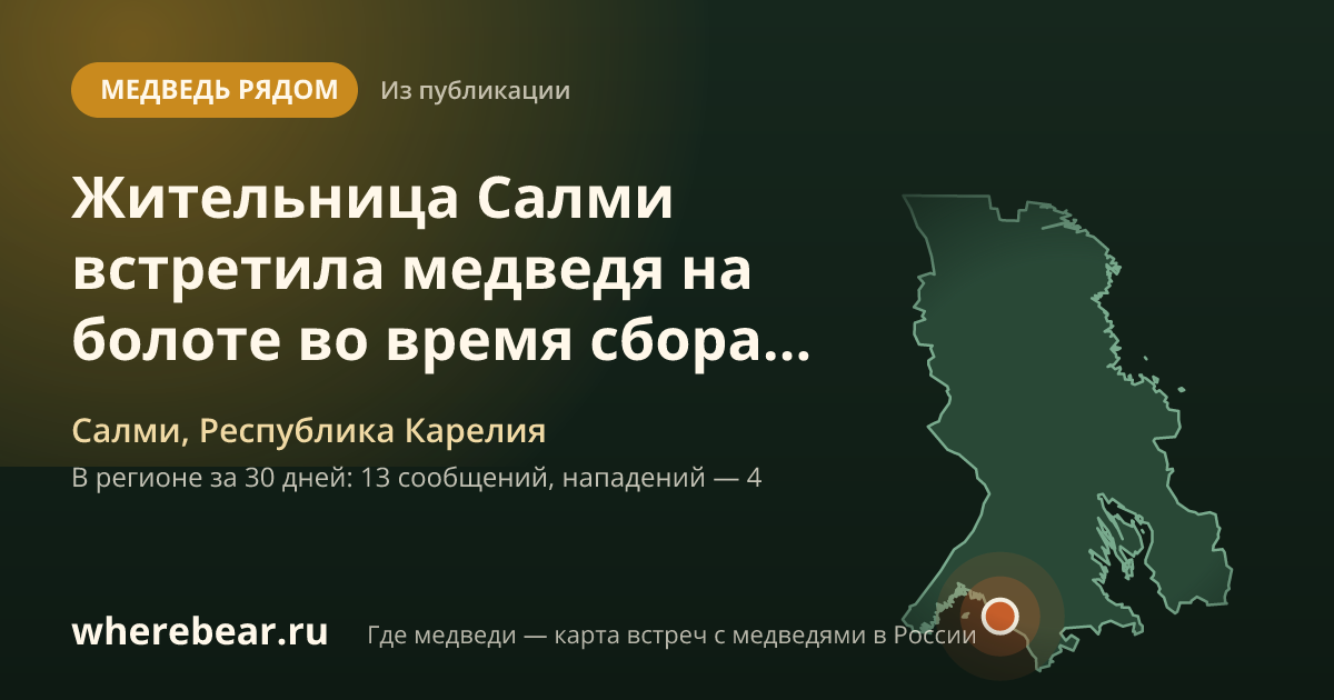 Место на карте: Салми, Республика Карелия