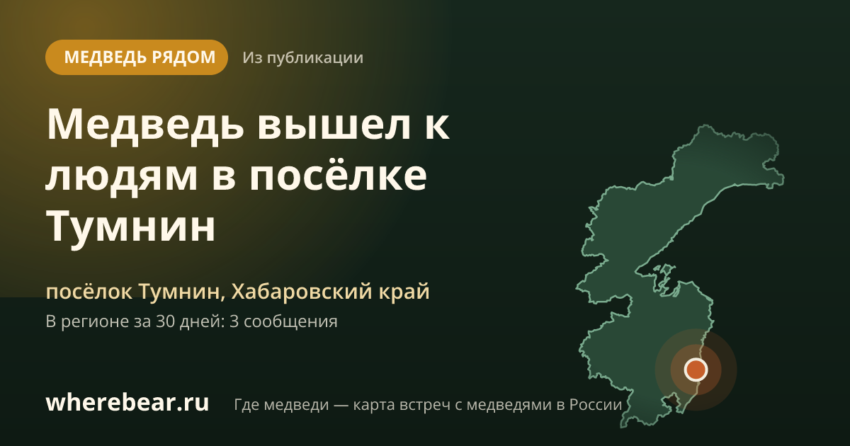 Место на карте: посёлке Тумнин, Хабаровский край
