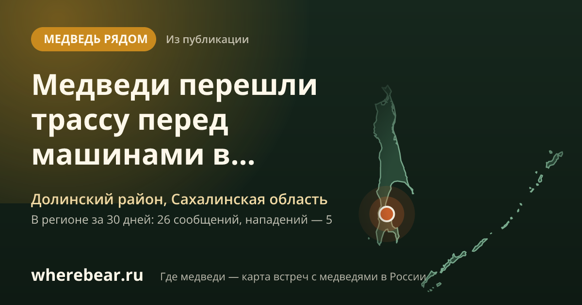 Место на карте: Долинском районе, Сахалинская область